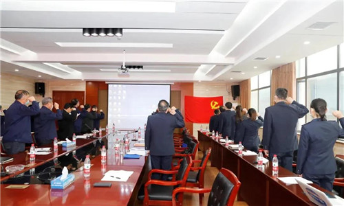 隨州市稅務(wù)局第一稽查局與程力汽車集團(tuán)的全體參會(huì)成員一起重溫國歌、并向黨旗莊嚴(yán)宣誓。